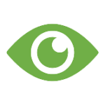 Vision